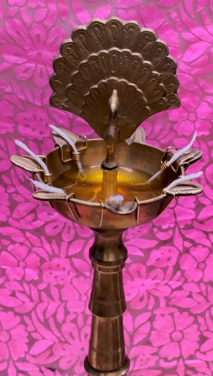 Samai Kadi (Set of 5)